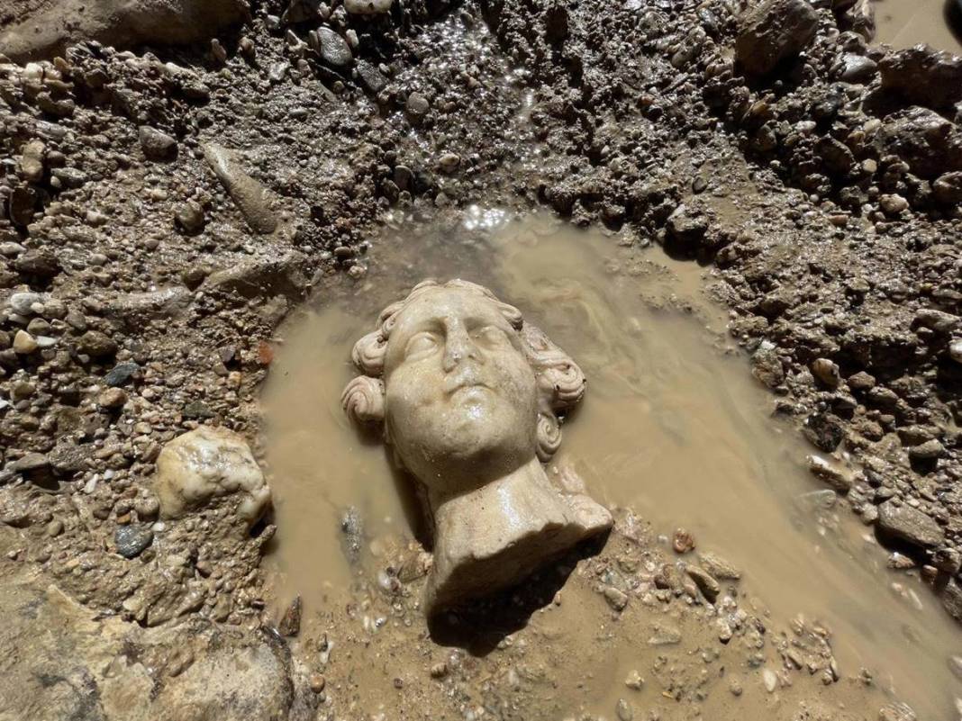 Su birikintisinde bulundu, bir ayağı kesik! Yetkililer harekete geçti, böylesi ilk kez görüldü 9